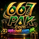 667 PAK game
