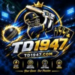 TD1947 Game